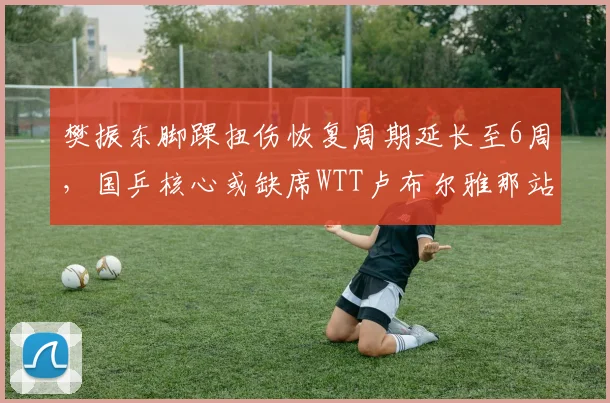 樊振东脚踝扭伤恢复周期延长至6周,国乒核心或缺席WTT卢布尔雅那站