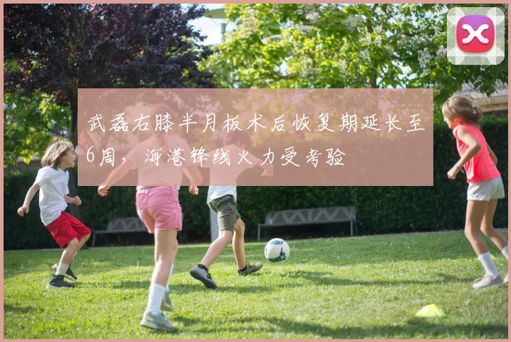 武磊右膝半月板术后恢复期延长至6周，海港锋线火力受考验